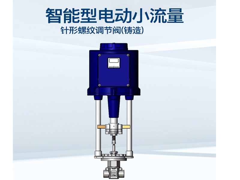 進(jìn)口電動(dòng)小流量調(diào)節(jié)閥